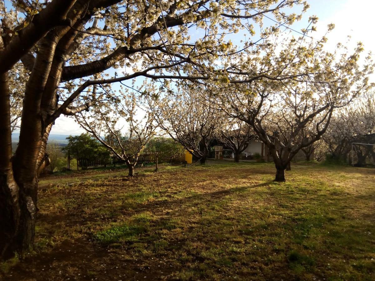 Torremenga Mirador Los Cotos מראה חיצוני תמונה